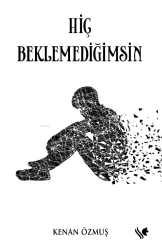 Hiç Beklemediğimsin | Kenan Özmuş | S.S International Publishing