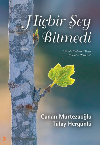 Hiçbir Şey Bitmedi;Kendi Kaderini Tayin Edebilen Türkiye | Tülay Hergü