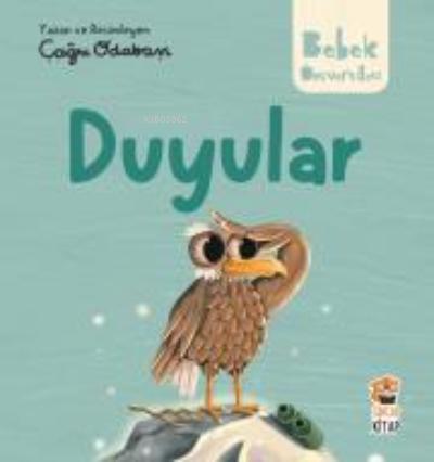 Hikayeli İlk Kavramlarım - Duyular | M. Sacide Kafalı | Sincap Kitap