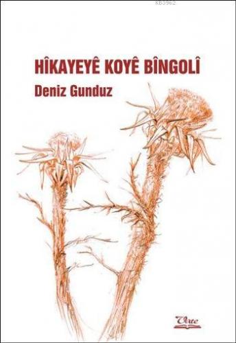 Hîkayeyê Koyê Bîngolî | Deniz Gündüz | Vate Yayınları / Weşanxaneye Va