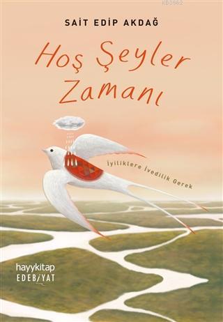 Hoş Şeyler Zamanı | Sait Edip Akdağ | Hayy Kitap