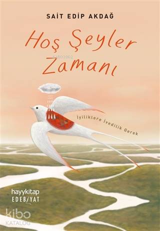 Hoş Şeyler Zamanı | Sait Edip Akdağ | Hayy Kitap