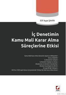 İç Denetimin Kamu Mali Karar Alma Süreçlerine Etkisi | Elif Ayşe Şahin