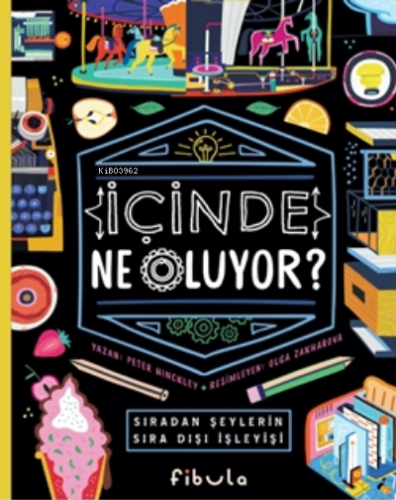 İçinde Ne Oluyor ? | Peter Hinckley | Fibula Yayıncılık