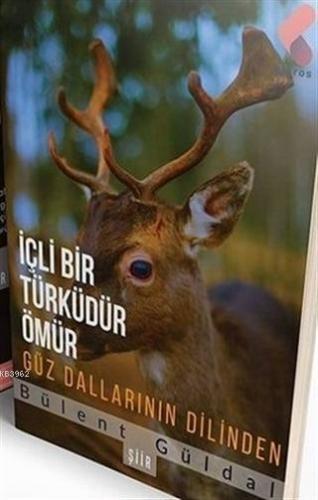 İçli Bir Türküdür Ömür Güz Dallarının Dilinden | Bülent Güldal | Klaro