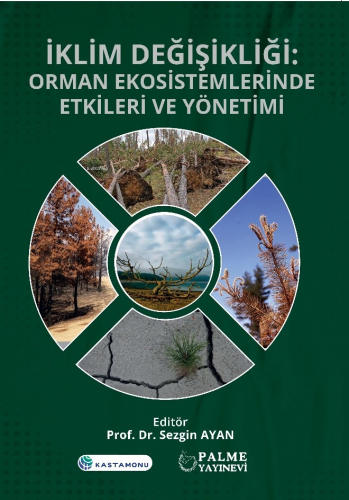 İklim Değişikliği : Orman Ekosistemlerinde Etkileri Ve Yönetimi | Sezg