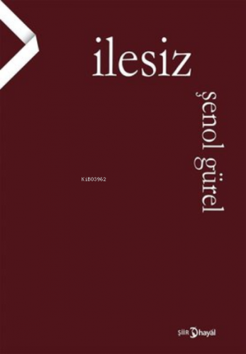 İlesiz | Şenol Gürel | Hayal Yayıncılık