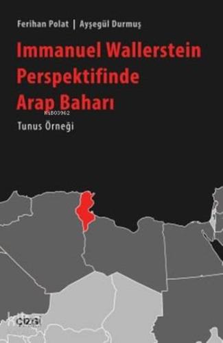 Immanuel Wallerstein Perspektifinde "Arap Baharı"; Tunus Örneği | Feri