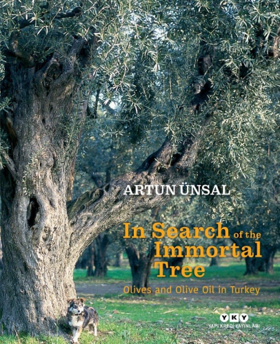 In Search Of The Immortal Tree/ Olives and Olive Oil in Turkey | Artun