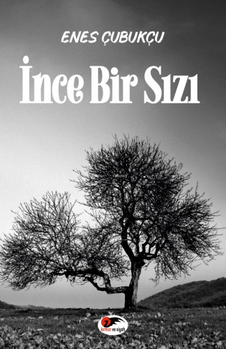 İnce Bir Sızı | Enes Çubukçu | Kırmızı ve Siyah Yayınevi