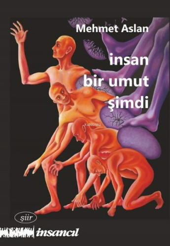 İnsan Bir Umut Şimdi | Mehmet Aslan | İnsancıl Yayınları