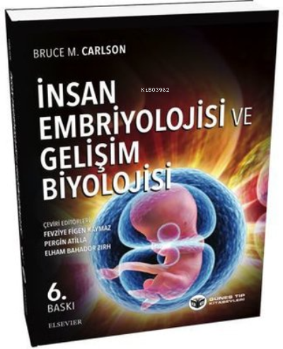 İnsan Embriyolojisi ve Gelişim Biyolojisi | Bruce M. Carlson | Güneş T