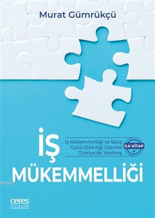 İş Mükemmelliği; İş Mükemmelliği ve Satış Gücü Etkinliği Üzerine Türki