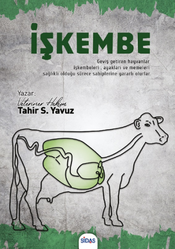 İşkembe | Tahir Selçuk Yavuz | Sidas Yayınları