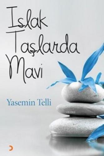 Islak Taşlarda Mavi | Yasemin Telli | Cinius Yayınları