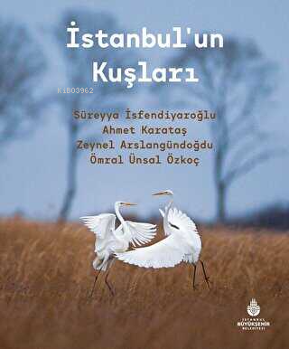 İstanbul'un Kuşları | Kolektif | İBB Yayınları