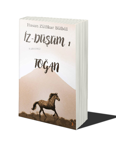 İz - Düşüm 1 Toğan | Hasan Zülfikar Bülbül | Cinius Yayınları