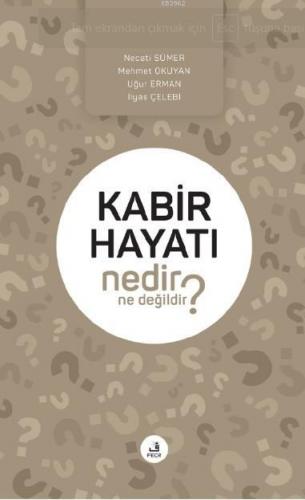 Kabir Hayatı Nedir Ne Değildir? | Kolektif | Fecr Yayınları