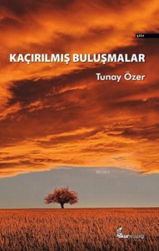 Kaçırılmış Buluşmalar | Tunay Özer | Okur Kitaplığı Yayınları