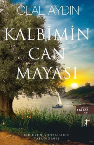 Kalbimin Can Mayası | İclal Aydın | Artemis Yayınları