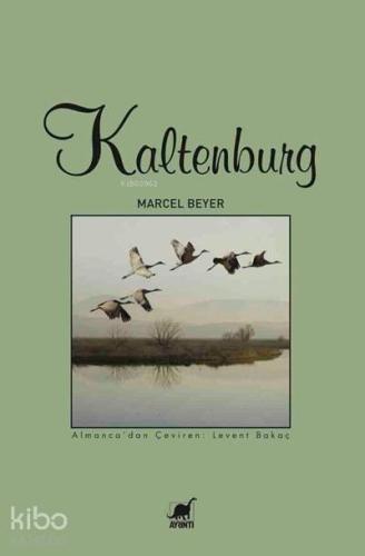 Kaltenburg | Marcel Beyer | Ayrıntı Yayınları