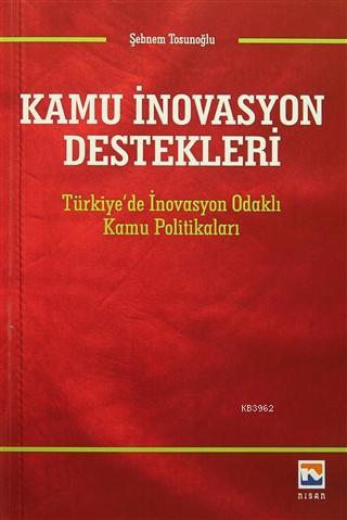 Kamu İnovasyon Destekleri; Türkiye'de İnovasyon Odaklı Kamu Politikala