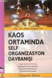 Kaos Ortamında Self Organizasyon Davranışı | Melek Vergiliel | Alfa Ba