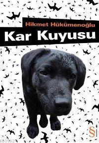 Kar Kuyusu | Hikmet Hükümenoğlu | Everest Yayınları