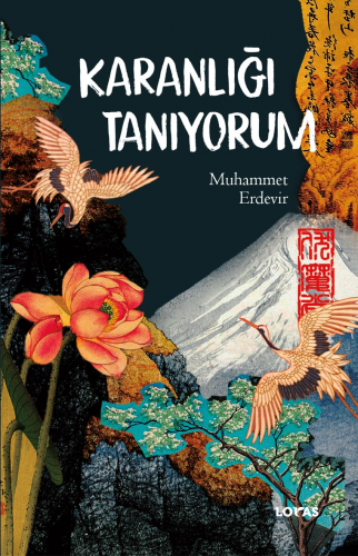 Karanlığı Tanıyorum | Muhammet Erdevir | Loras Yayınları