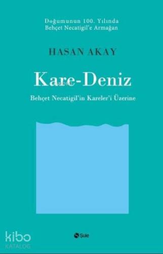 Kare-Deniz | Hasan Akay | Şule Yayınları