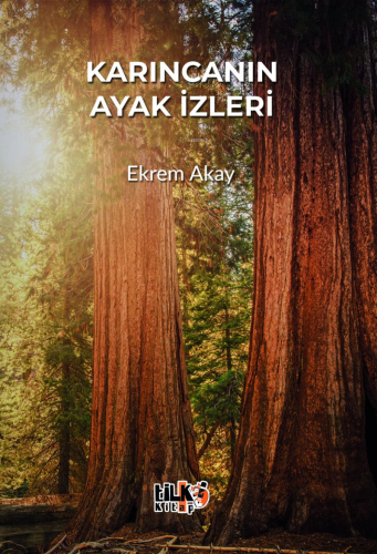 Karıncanın Ayak İzleri | Ekrem Akay | Tilki Kitap