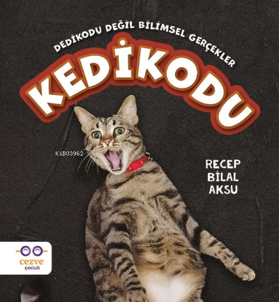 Kedikodu | Recep Bilal Aksu | Cezve Çocuk