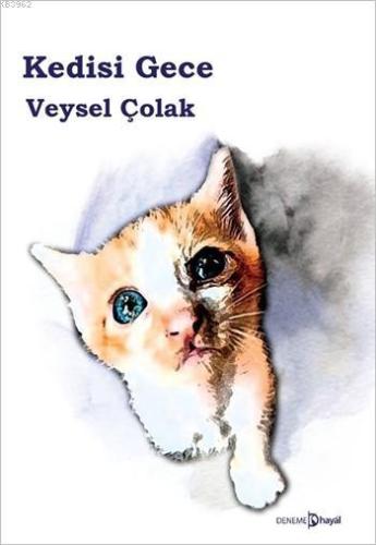 Kedisi Gece | Veysel Çolak | Hayal Yayıncılık