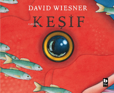 Keşif | David Wiesner | Bilgi Yayınevi