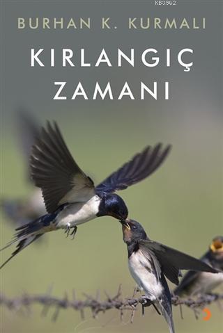 Kırlangıç Zamanı | Burhan K. Kurmalı | Cinius Yayınları