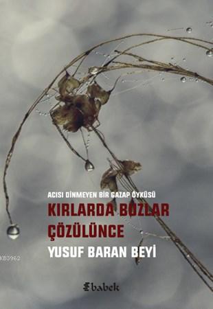 Kırlarda Buzlar Çözülünce | Yusuf Baran Beyi | Babek Yayınları