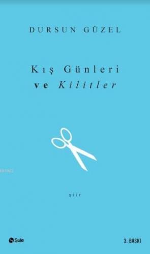 Kış Günleri ve Kilitler | Dursun Güzel | Şule Yayınları