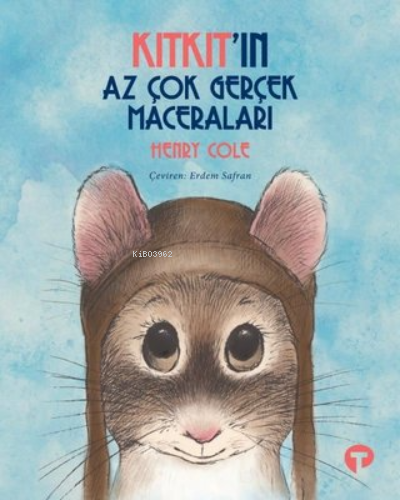 Kıtkıt'ın Az Çok Gerçek Maceraları | Henry Cole | Turkuvaz Kitap