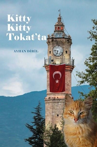 Kitty Kitty Tokat'ta | Ayhan Diril | Ritim Sanat Yayınları