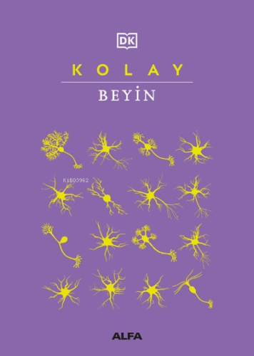 Kolay Beyin | Rita Carter | Alfa Basım Yayım Dağıtım