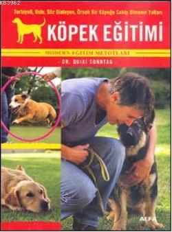 Köpek Eğitimi; Terbiyeli, Uslu, Söz Dinleyen, Örnek Bir Köpeğe Sahip O