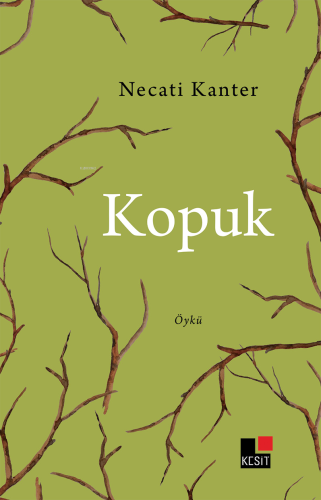 Köpük | Necati Kanter | Kesit Yayınları