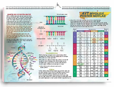 Kr Akademi AYT Biyoloji Poster Notlar | Kolektif | KR Akademi