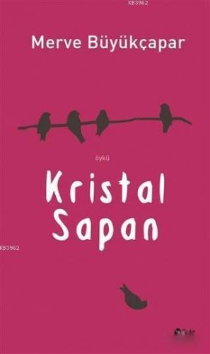 Kristal Sapan | Merve Büyükçapar | Şule Yayınları