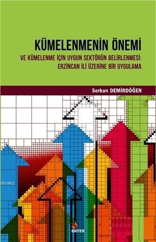 Kümelenmenin Önemi ve Kümelenme İçin Uygun Sektörün Belirlenmesi: Erzi