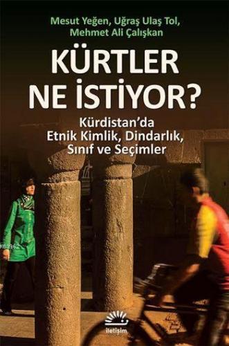 Kürtler Ne İstiyor?; Kürdistan'da Etnik Kimlik, Dindarlık, Sınıf ve Se