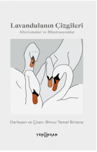 Lavandulanın Çizgileri | Birnur Temel Birtane | Yeni İnsan Yayınevi