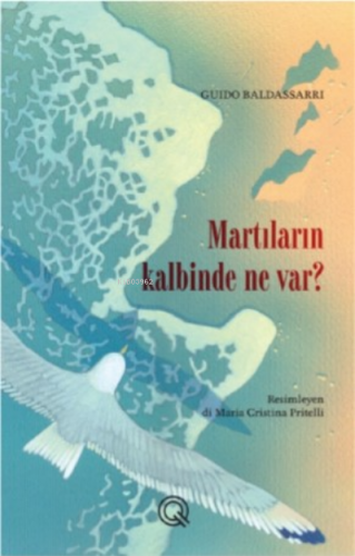 Martıların Kalbinde Ne Var? | Guido Baldassarri | Q Yayınları