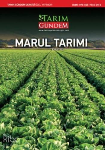 Marul Tarımı | Ahmet Balkaya | Tarım Gündem Dergisi