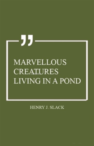 Marvellous Creatures Living in a Pond | Henry J. Slack | Serüven Kitap